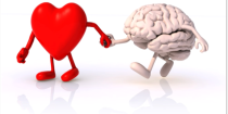Culture Jolt #25 – Let the heart originate thinking, not the brain